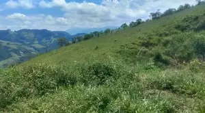Terreno no Bairro do Cafundó – São Francisco Xavier - Imagem 5