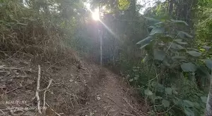Casa para Locação no Bairro Pantanal - Imagem 9
