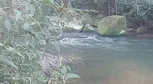Casa para Locação no Bairro Pantanal - Imagem 10