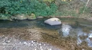 Oportunidade - Terreno no centro de São Francisco Xavier - Imagem 4